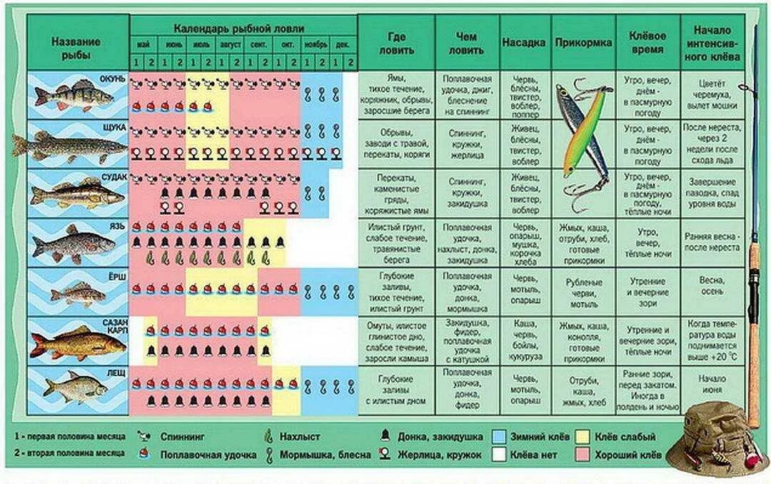Рыбный календарь. Календарь рыболова. Таблица клева рыбы. Зимний рыболовный календарь. Период лова