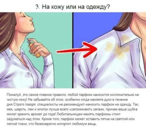 Как правильно наносить духи схема. Куда лучше наносить. Места нанесения духов. Куда наносить парфюм. Куда лучше наносить.