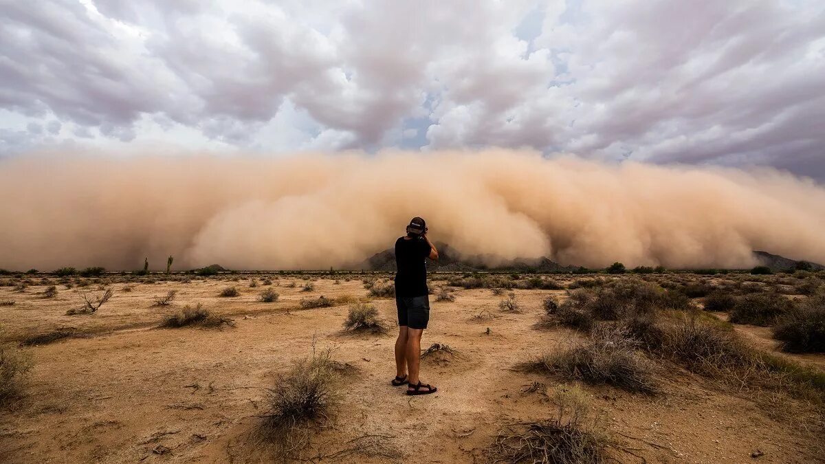 Самум Песчаная буря. Песчаная буря Хабуб. Песчаная буря в пустыне сахара. Пустыня сахара пыльная буря.