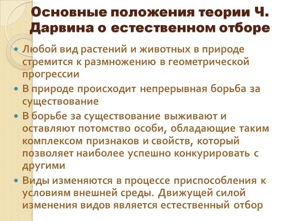 Эволюционное положение. Эволюционное положение