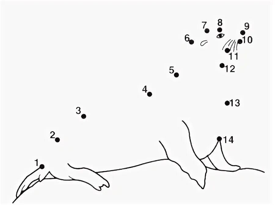 Точка обитатель. Животные севера по точкам. Рисование по точкам животных севера. Соединить по точкам животное. Рисование по точкам животные севера.