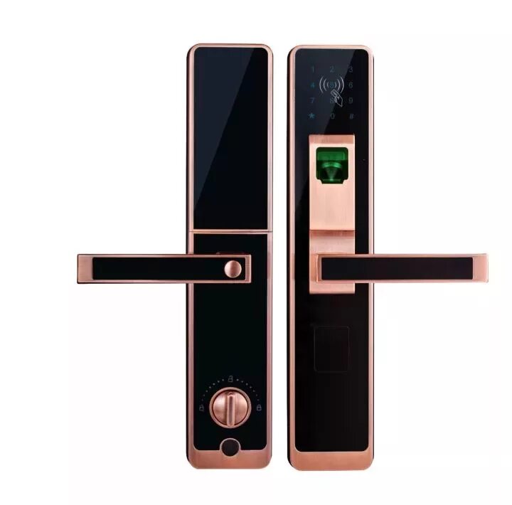 Zigbee door lock. Биометрические замки компании smartlock 2003 года. smart gateway китайский замок.