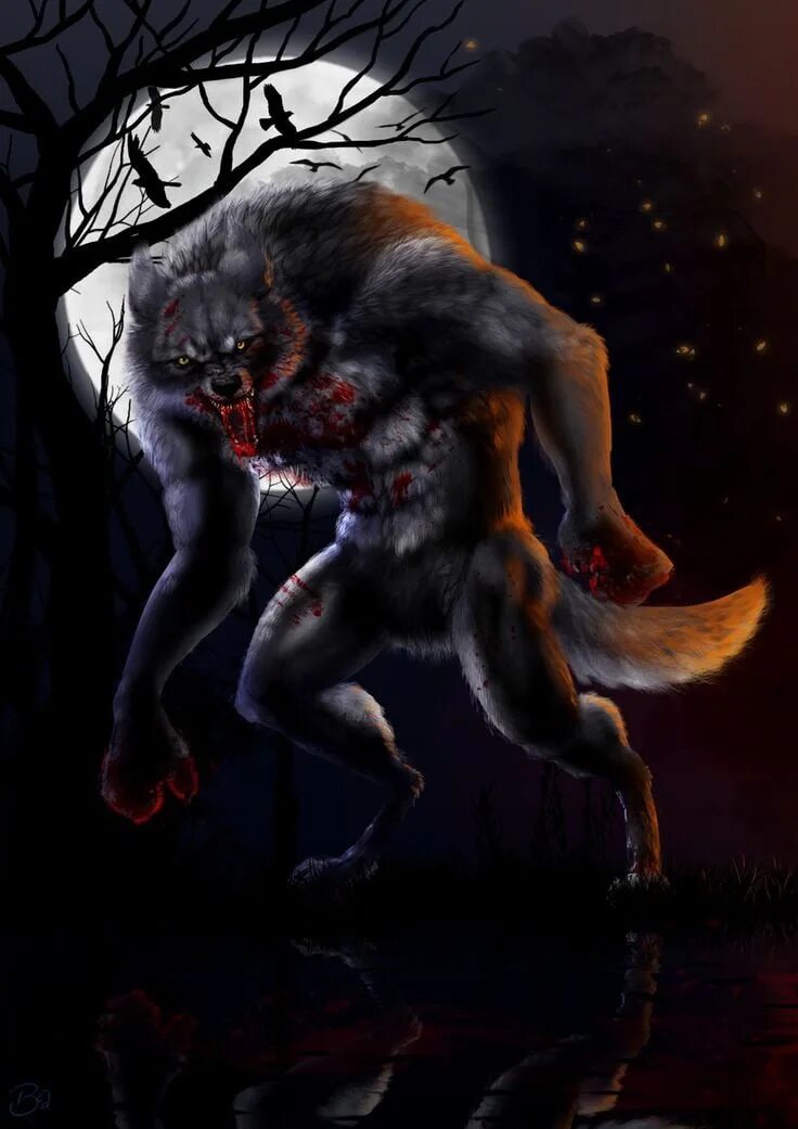 Оборотни волк человек. Вендиго оборотень Вервольф. Вервольф волк оборотень. «Оборотень - a Werewolf boy» АРИМЕ.