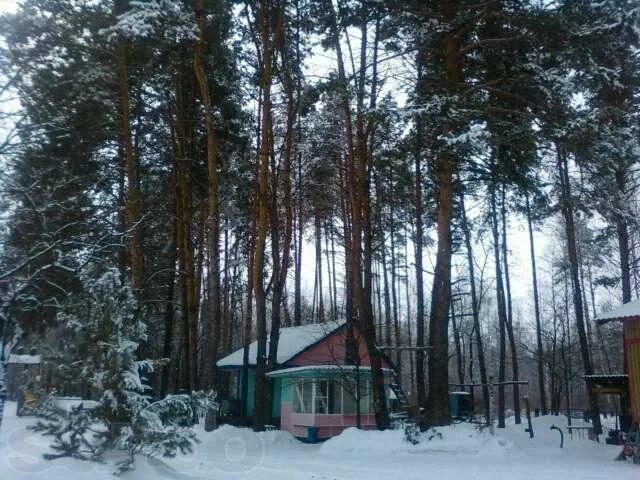 Фото: Голубой огонек, база, дом отдыха, Липецкая область, Задонский район, Кашар