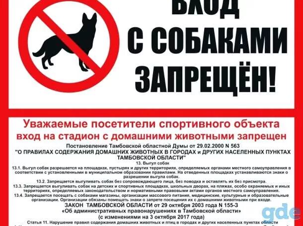 Закон о запрете животных. Выгул животных запрещен табличка. объявление о запрете выгула собак. вход с собаками запрещен табличка. табличка запрет выгула собак.