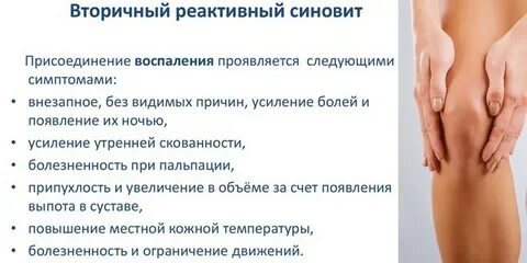 Синовит препараты