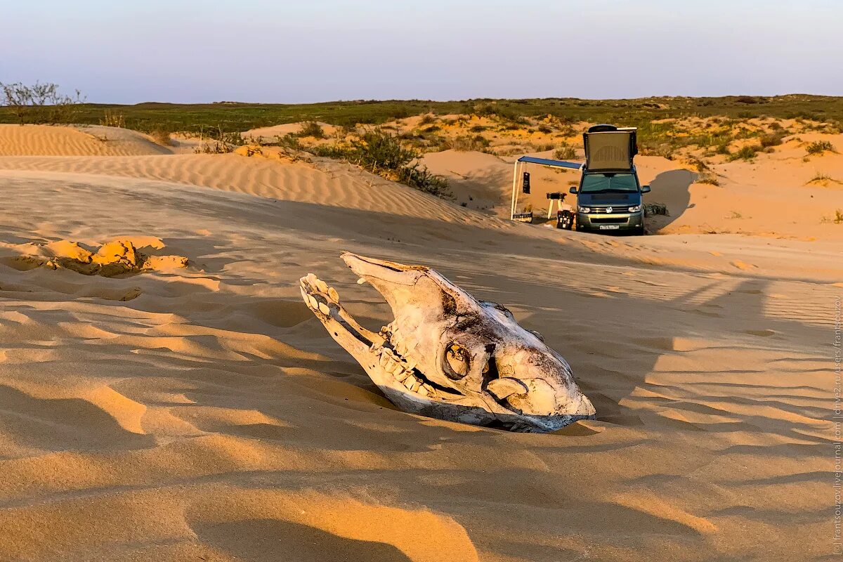 астрахань пустыня бархан. пустыня в астрахани. полупустыни и пустыни астрахань. природный заказник пески берли астраханская область. пустыня большой брат астрахань.
