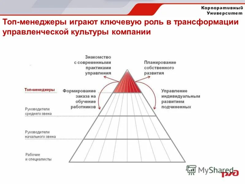 вывод северо западного района россии. мембрана с выводами. роль рекламы в обществе. основные понятия теории игр. играет ключевую роль в развитии.