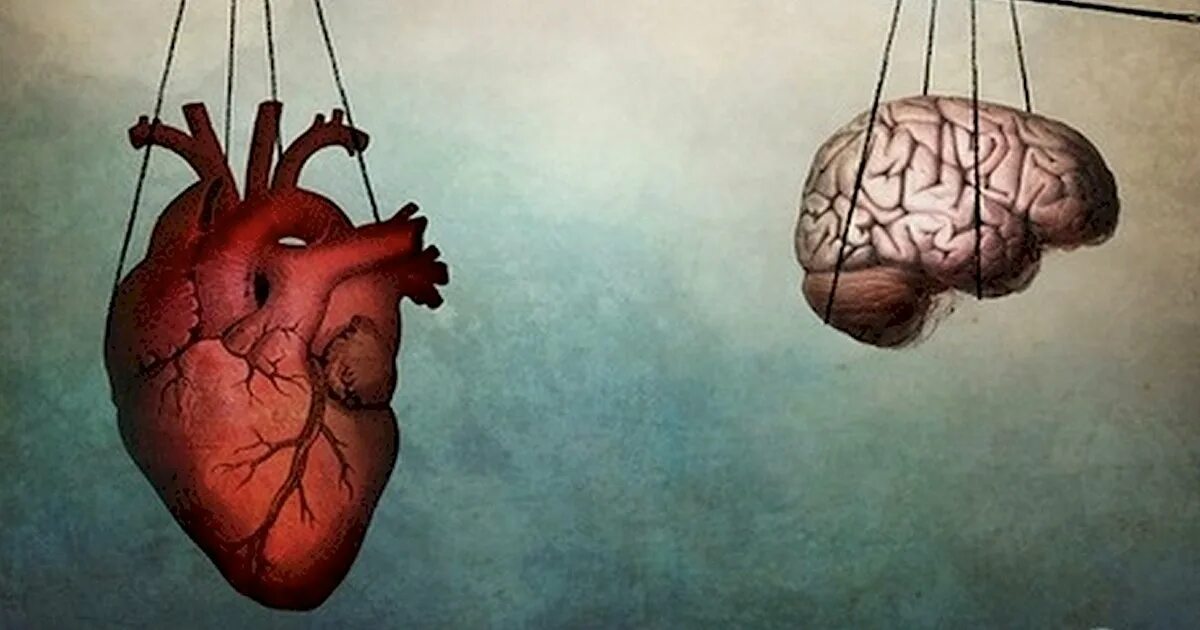 Познай сердце. Борьба сердца и мозга. Между сердцем и разумом. Сердце и разум. Ум и сердце.