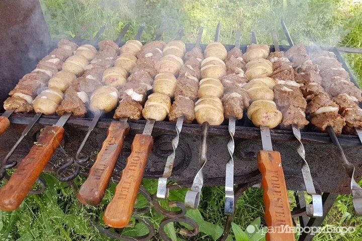 Шашлыки в свердловской области можно ли. Яма Ташкент шашлык. Фото запрета жарки шашлыка. Можно в Свердловской области жарить шашлык.