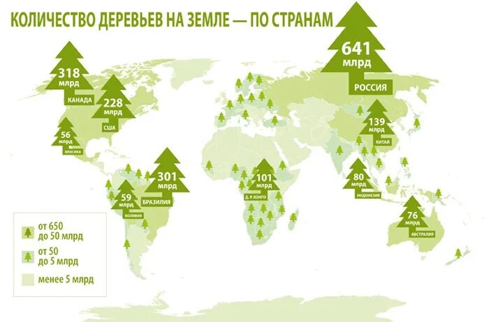 Карта деревьев в лесу. Вырубка лесов в мире карта. карта вырубки лесов в россии. карта вырубки лесов в мире. вырубка лесов в россии на карте.