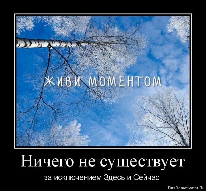 Живи в моменте здесь. Живи здесь и сейчас. Живите здесь и сейчас цитаты. Жить здесь и сейчас. Здесь и сейчас цитаты.