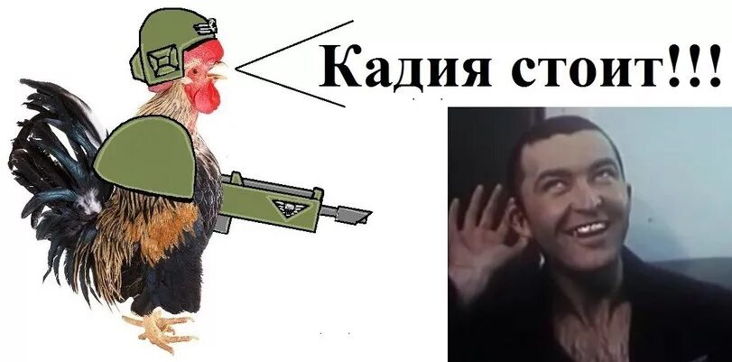 Кадия стоит текст. Кадия стоит мемы. кадия не стоит. кадия мем. а у вас кадия пала.
