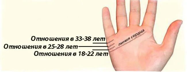 Линия руки как узнать сколько детей. Коррекционная хиромантия линия брака. хиромантия линии брака вдовство. хиромантия линии количество детей. линия брака на ладони по годам.