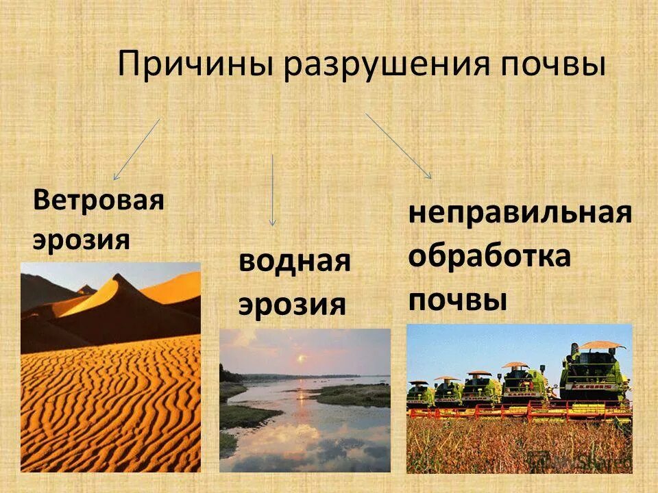 Как разрушается почва. Как разрушается почва
