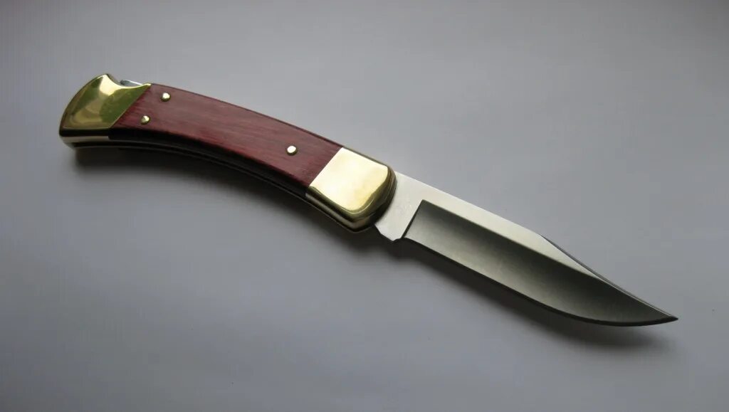 Нож buck b0110brs. Buck folding hunter 0110brsfg. Нож бак 110. Нож buck 110. Buck 110 fixed.