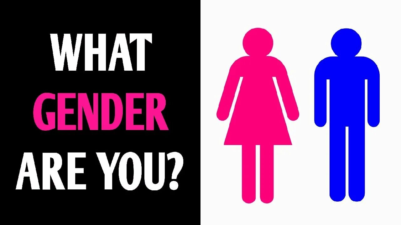 Personal местоимения. Are you male or female. Аналитический склад ума. Мемы про программистов c. Тест на гендер.