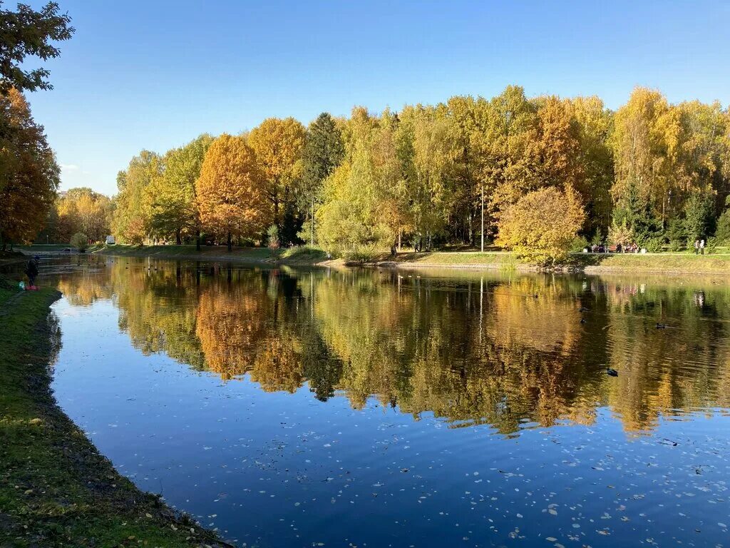 Ландшафтный заказник лианозовский москва угличская улица фото