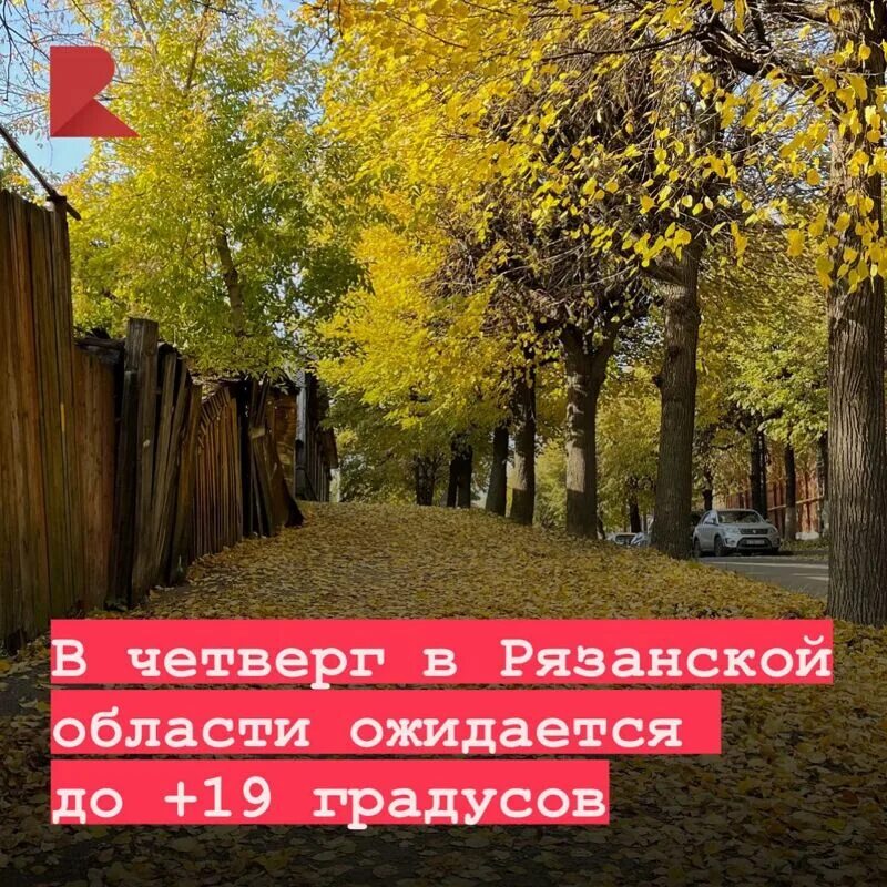ожидается в сентябре. фото бабьего лета в парках. туманное сентябрьское утро. бабье лето. ожидается в сентябре.