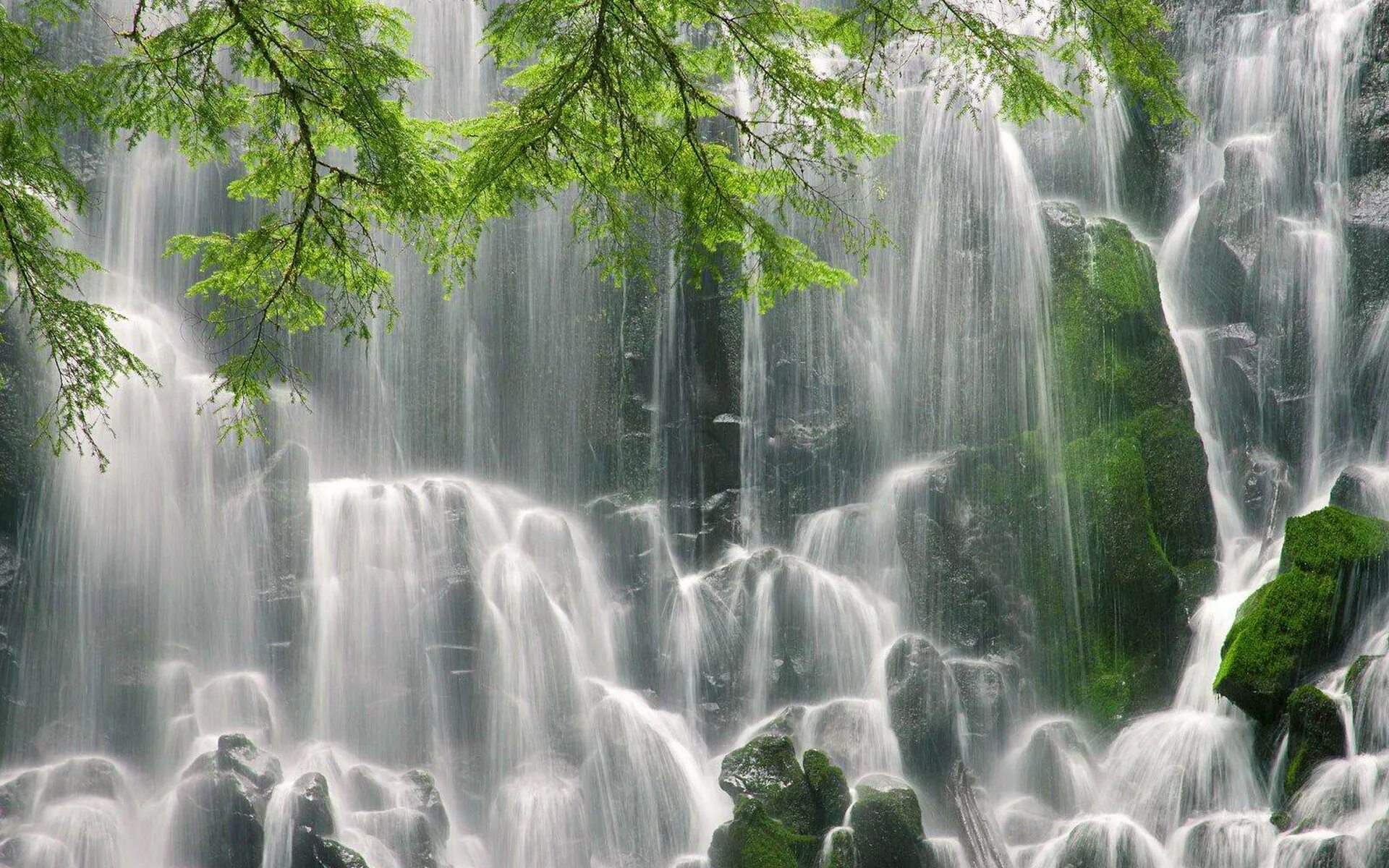 Бесплатные видео обои на телефон. Водопад Рамона Орегон. Товансон водопад. Природа. Водопад в горах.