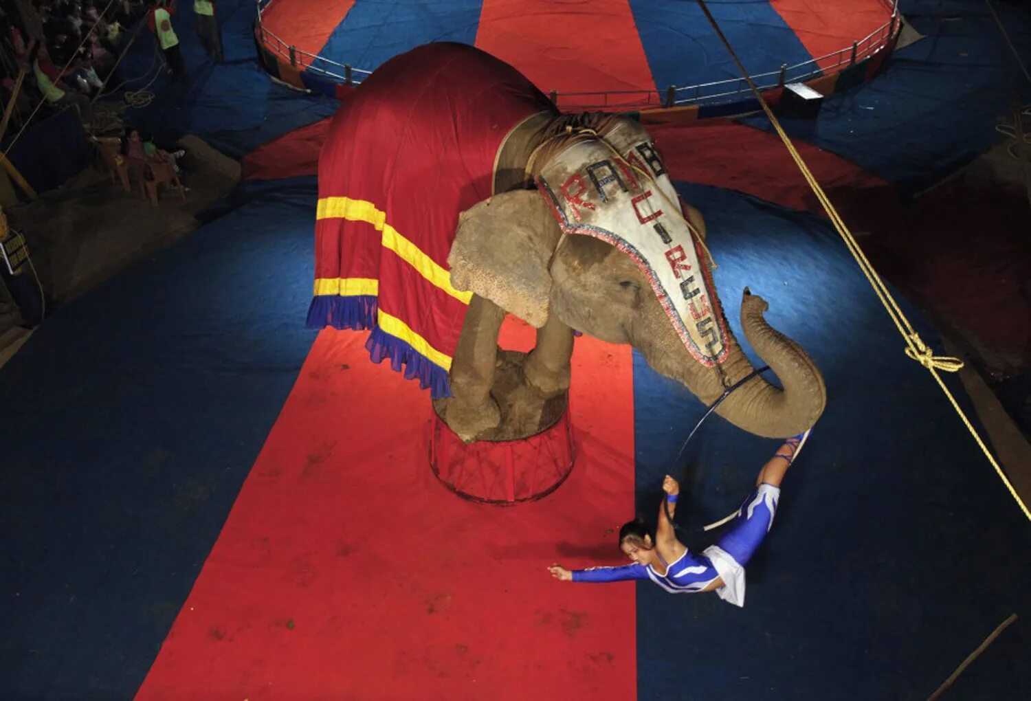 Картинки помни из цирка. Индийский цирк. Цирк в Индии. Циркачи Индии. Попона для слона цирк.