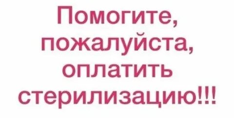 Работу помоги пожалуйста