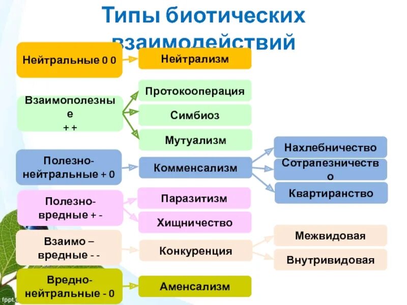 Виды взаимо. Полезно нейтральные взаимоотношения примеры. Пример полезно нейтральных взаимоотношений. Примеры полезно вредных отношений. Полезно нейтральное взаимодействие.