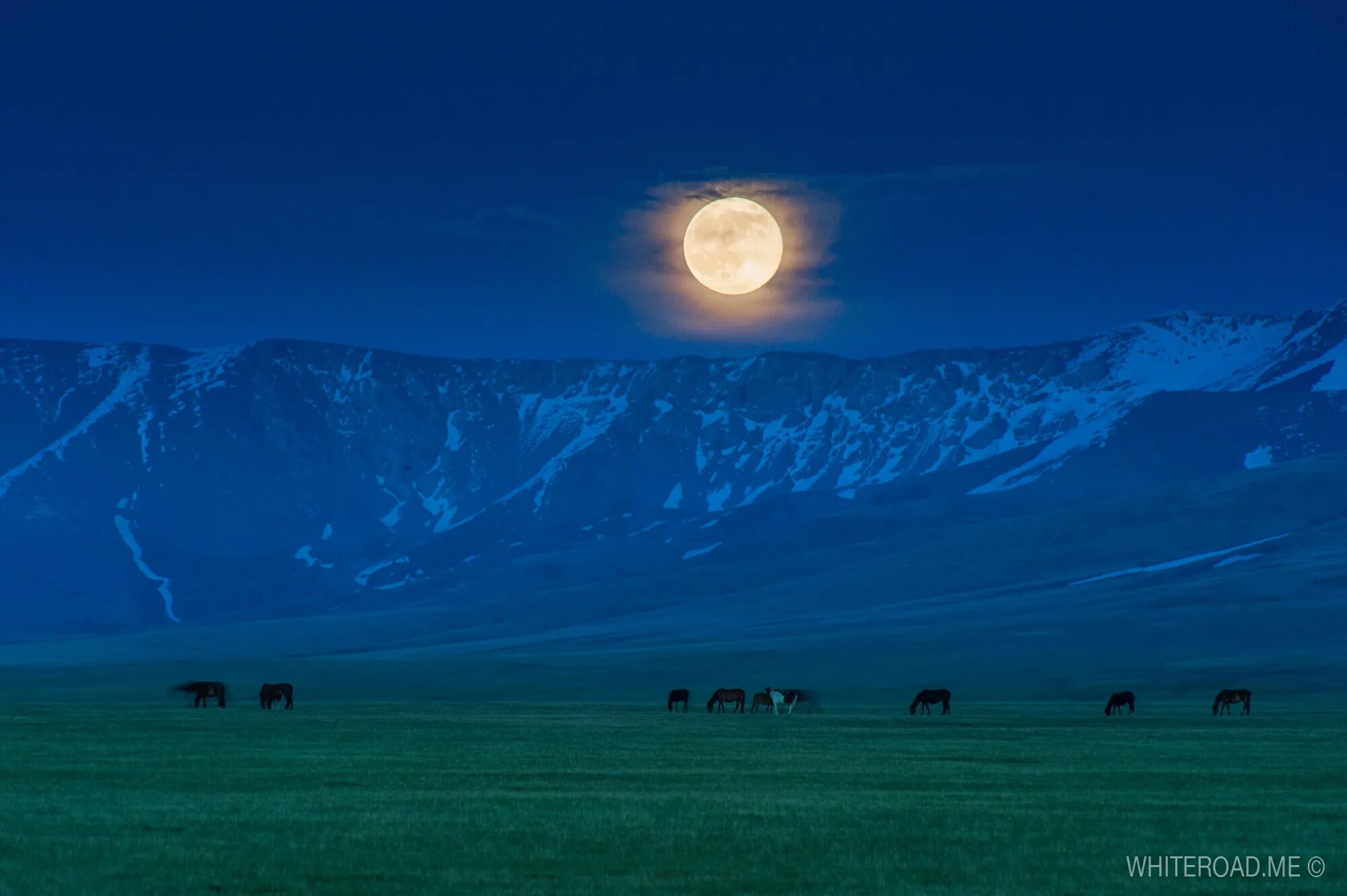 Джайлоо Кыргызстана ночной. Природа Кыргызстана. Пейзажи средней Азии. Небо Киргизии.