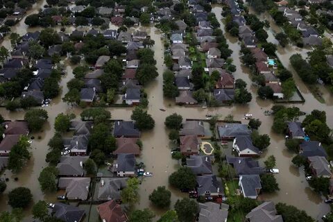 Hurricane Harvey has affected approximately 100,000 homes, accordi...