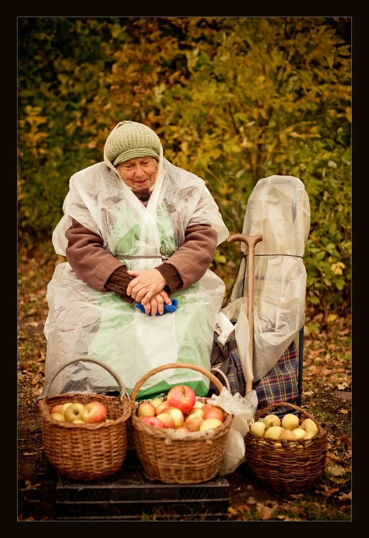 Бабушка продает яблоки. Сбор урожая. Сбор урожая в деревне. Бабушка с урожаем.