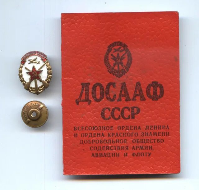 Функции досааф. Досааф. значок досааф россии. значок росто досааф. досааф знаки отличия.