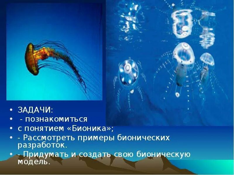 Примеры бионики в биологии. Бионика. бионика примеры. примеры бионики в жизни человека.