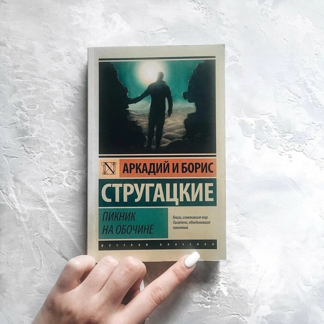 Братья Стругацкие пикник на обочине. Пикник на обочине Стругацкие эксклюзивная классика. Пикник на обочине братья Стругацкие книга. На обочине жизни рассказ на дзен глава