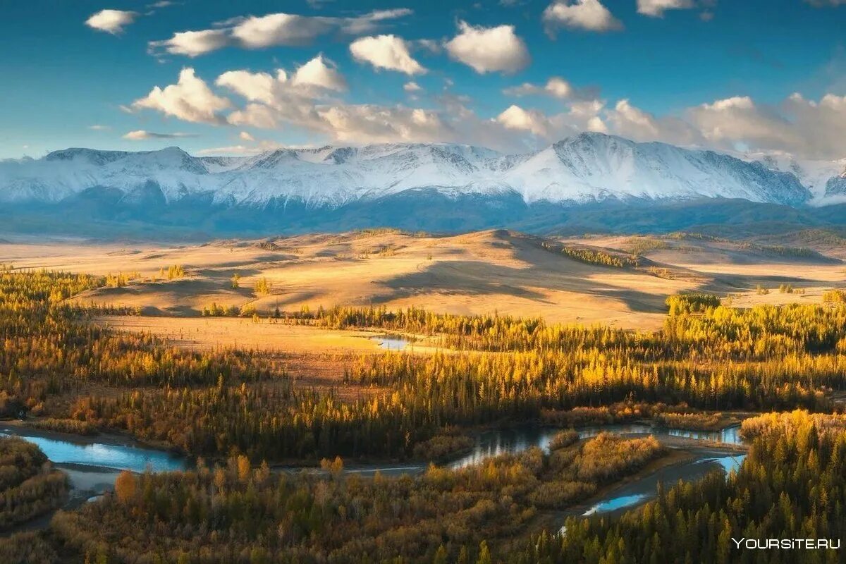 Курайская степь горный Алтай. Смотровая площадка Курайская степь. Золотые горы Алтая Алтайские горы. Курайская степь Алтай осень