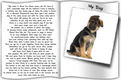 Переведи на русский my dogs