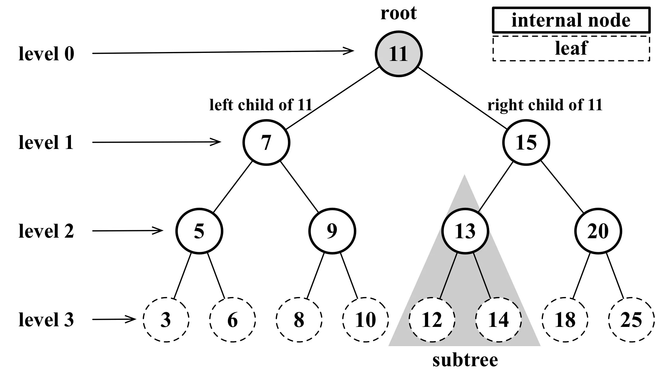 Root level