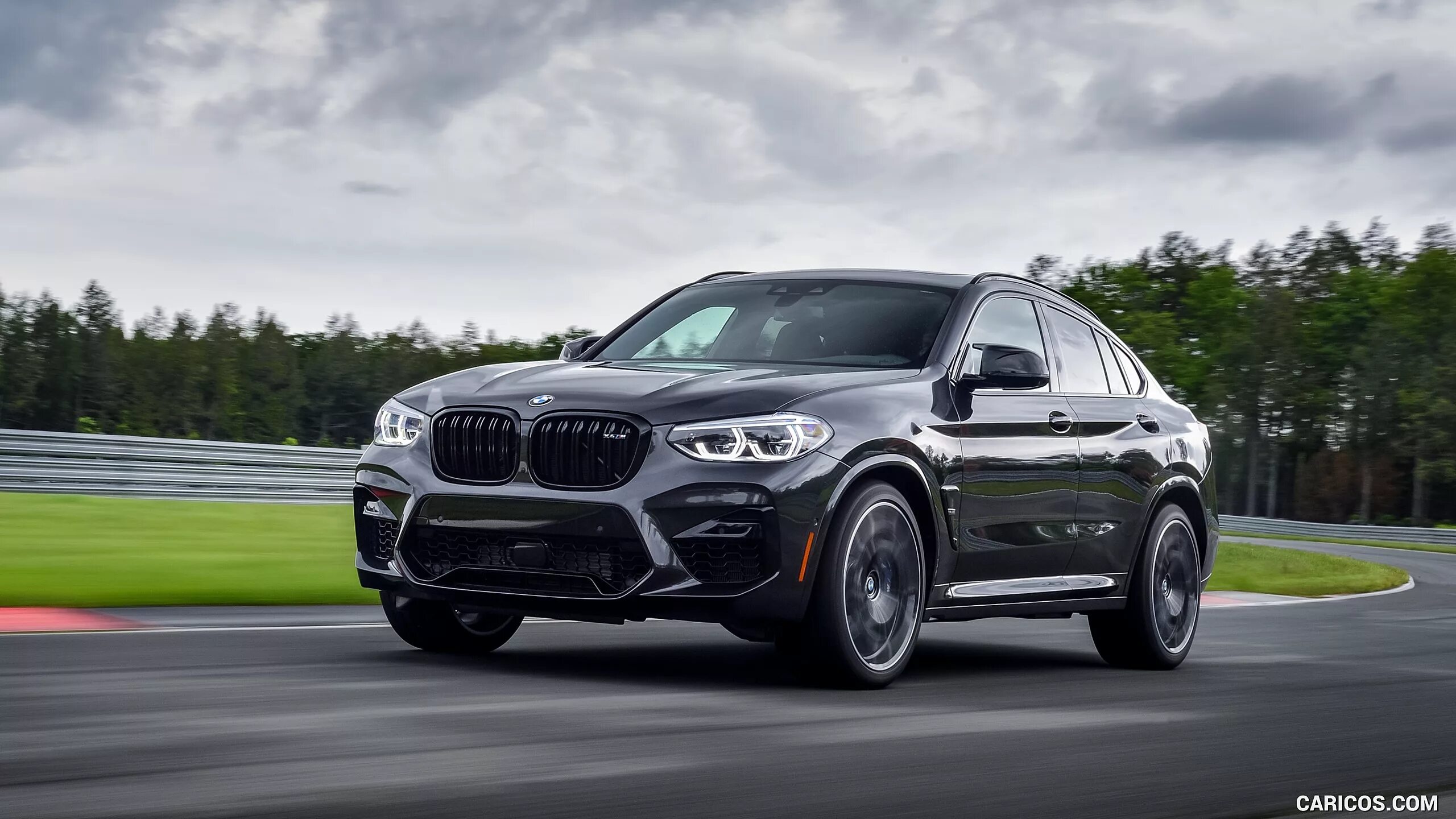 Карбоновая решетка радиатора (ноздри) M Performance для BMW X4 в кузове G02 - AM