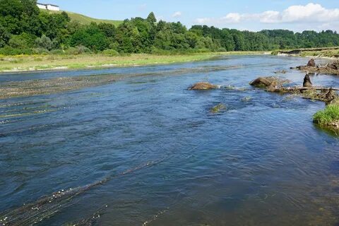River water use