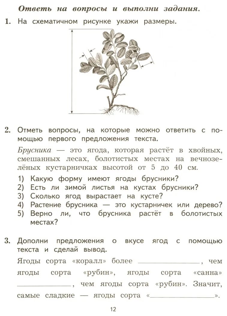 Комплексная работа с текстом 2 класс. Работа с информацией 3 класс. Работа с информацией 2 класс. Рыдзе о.а. работа с текстом и информацией. 4 Класс. Впр 1 класс комплексная работа