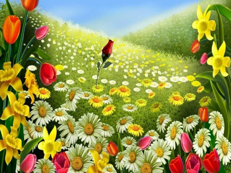 Поляна с цветами для детей. Цветочная поляна рисунок. сказочная полянка с цветами.