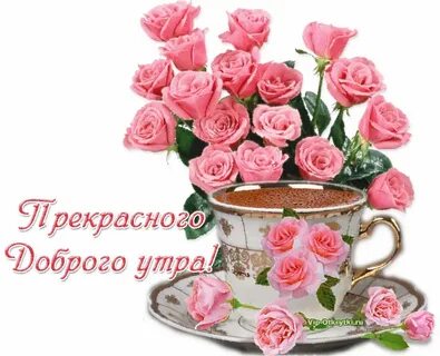 Видео поздравления с новым днем