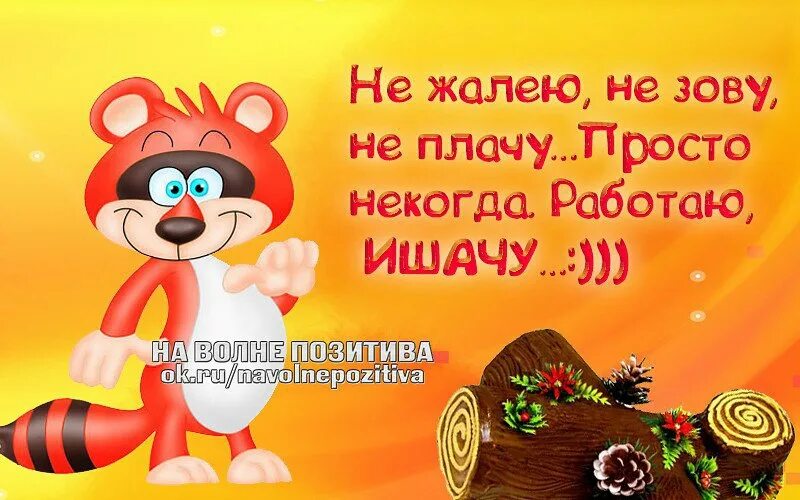 Пой веселей силенок не жалей. Позитивные статусы. На волне позитива картинки. Пожалеть картинки прикольные. Жалею тебя.