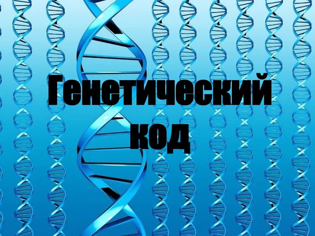 Код человека. Человеческий код. Код человека. Планетарий человеческий код. Человеческий код.