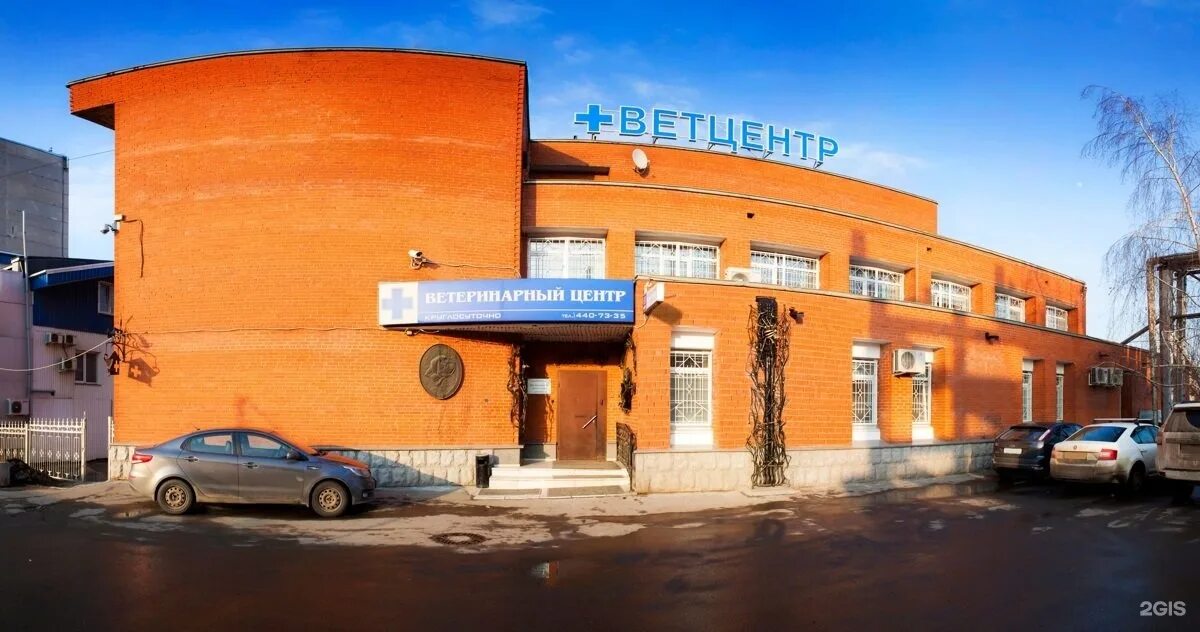 Ул ветеринаров. К9 вет на свободе. Ветеринар ул бжегокайская. Ул ветеринаров. Ул ветеринаров.
