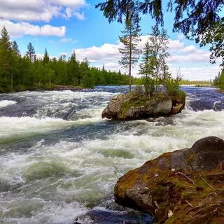 Реки белого моря