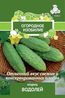 Сорт огурцов водолей