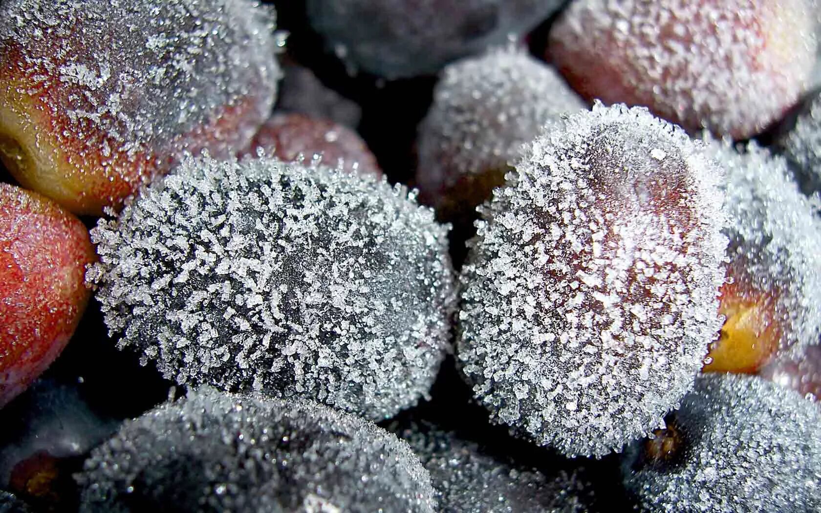 Freezing fruits. Замороженные фрукты. Заморозка ягод. Быстрозамороженные плоды и ягоды. Ягода свежемороженая.