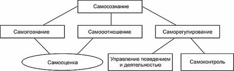 Самопознание и я концепция