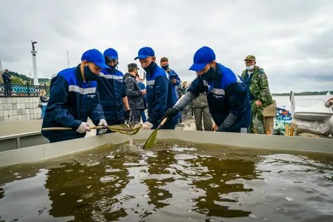 Департамент рыболовства