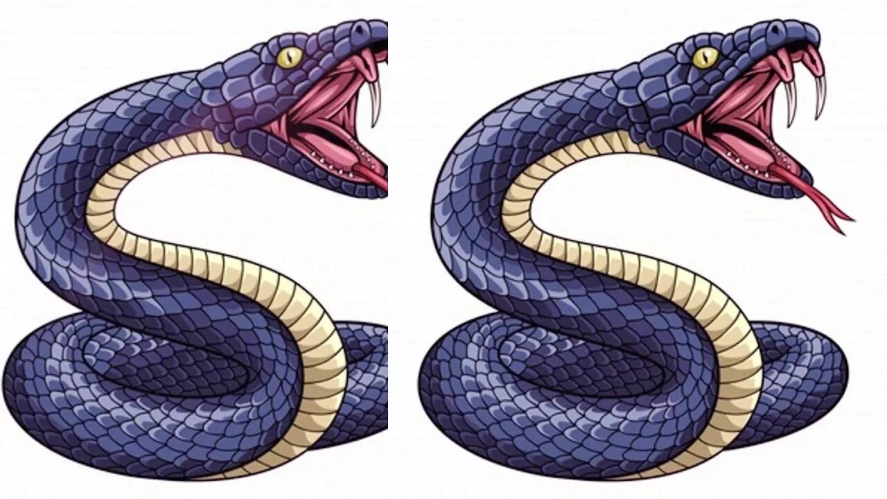 Змея рисунок. Змея нарисовать. Змея мультяшная. Цветная змея.